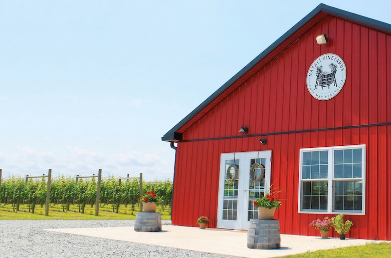 Things To Do Natali Vineyards